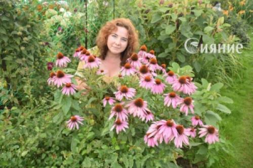 Подготовка теплицы к следующему сезону: полезные советы 09