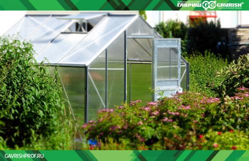 Подготовка теплицы к следующему сезону: полезные советы 08