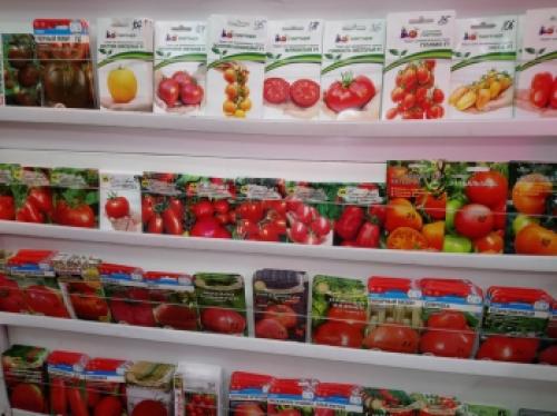 Подготовка теплицы к следующему сезону: полезные советы 10