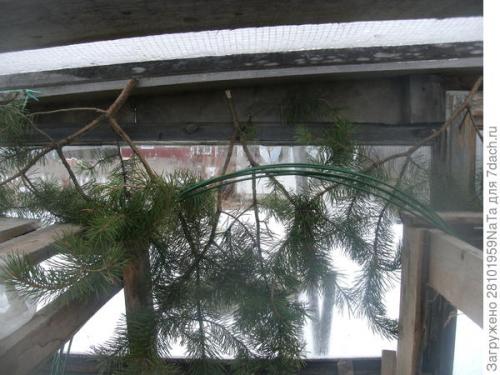 Какие работы необходимо провести с каркасом и покрытием теплицы осенью. Теплица. Осенние работы в ней