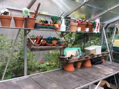 Как правильно хранить урожай в теплице осенью. Как правильно помыть теплицу внутри