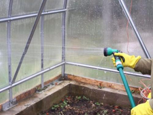 Почему важно обрабатывать теплицу осенью от вредителей и болезней. Обработка теплицы осенью от болезней и вредителей