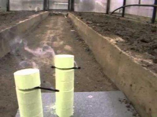 Какие шаги необходимо предпринять для подготовки грунта в теплице. Какие способы дезинфекции почвы существуют?