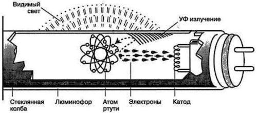 Как выбрать лампочку по размеру. Конструкция люминесцентной лампы