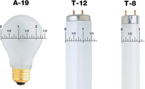 Как понять, какая лампочка нужна. Современные лампочки: формы и размеры