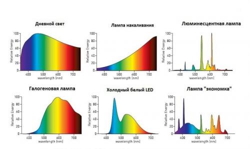 Вредны ли светодиодные фитолампы для человека. Вреден ли свет от фитолампы для человека