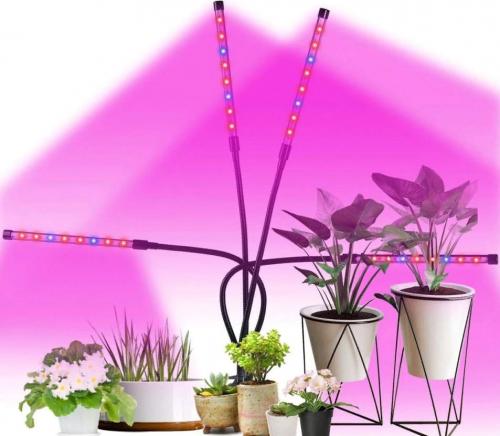 Вредны ли светодиодные фитолампы для человека. Вреден ли свет от фитолампы для человека