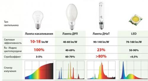 Вредны ли светодиодные фитолампы для человека. Вреден ли свет от фитолампы для человека