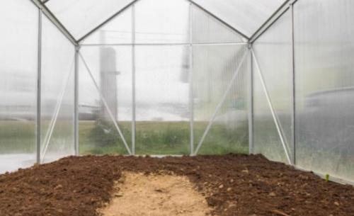 Как правильно хранить средства для обработки теплицы. Обработка теплицы бордосской жидкостью и другими эффективными средствами