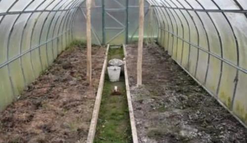 Как правильно хранить средства для обработки теплицы. Обработка теплицы бордосской жидкостью и другими эффективными средствами