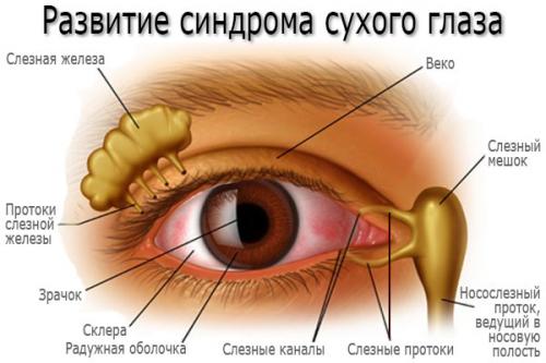 Как избыточное освещение может повлиять на зрение у пожилых людей. Как предотвратить ухудшения зрения у пожилых людей
